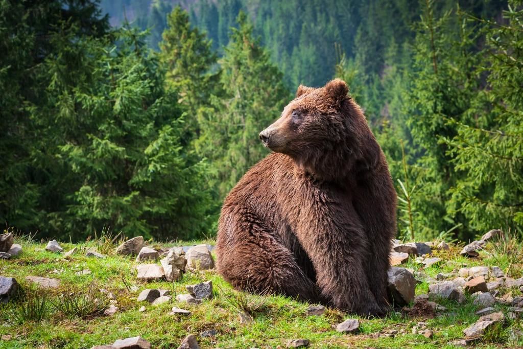 Дома для отпуска Kotedzh Smereka Kelechin